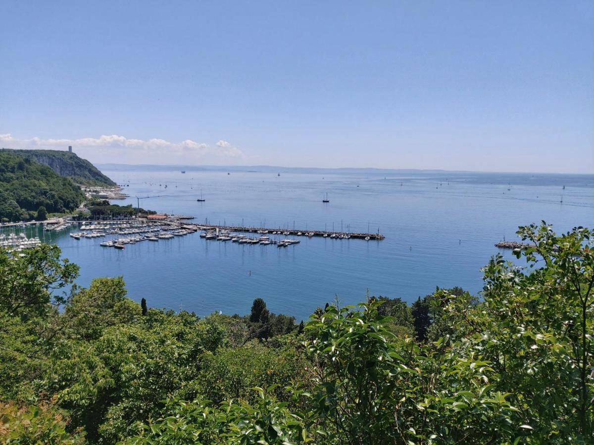 Residence Oliveto Mare Carso Sistiana Luaran gambar