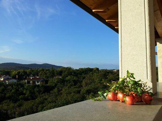 Residence Oliveto Mare Carso Sistiana Luaran gambar